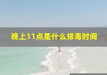 晚上11点是什么排毒时间