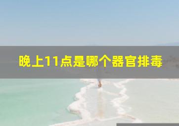 晚上11点是哪个器官排毒