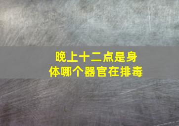 晚上十二点是身体哪个器官在排毒