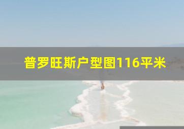 普罗旺斯户型图116平米