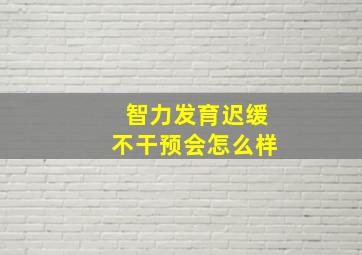 智力发育迟缓不干预会怎么样