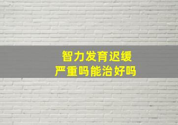 智力发育迟缓严重吗能治好吗