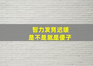 智力发育迟缓是不是就是傻子