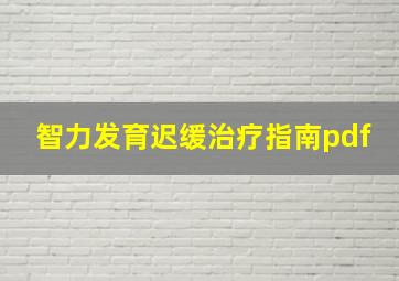 智力发育迟缓治疗指南pdf