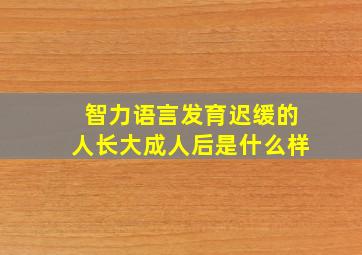 智力语言发育迟缓的人长大成人后是什么样