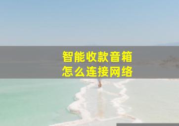 智能收款音箱怎么连接网络