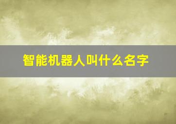 智能机器人叫什么名字