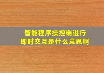 智能程序操控端进行即时交互是什么意思啊