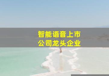 智能语音上市公司龙头企业