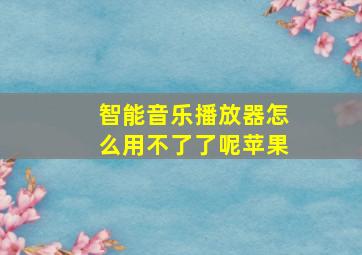 智能音乐播放器怎么用不了了呢苹果