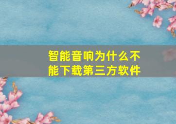 智能音响为什么不能下载第三方软件