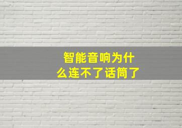 智能音响为什么连不了话筒了