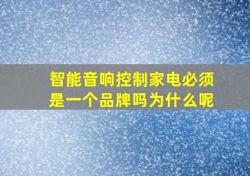 智能音响控制家电必须是一个品牌吗为什么呢