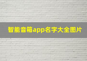 智能音箱app名字大全图片