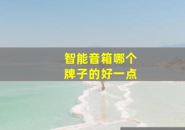 智能音箱哪个牌子的好一点