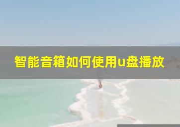 智能音箱如何使用u盘播放