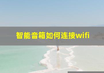 智能音箱如何连接wifi