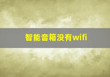 智能音箱没有wifi