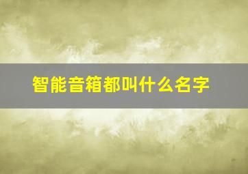 智能音箱都叫什么名字