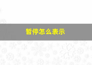 暂停怎么表示