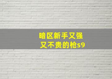 暗区新手又强又不贵的枪s9