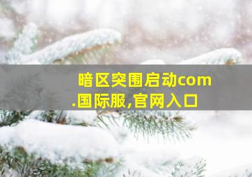 暗区突围启动com.国际服,官网入口