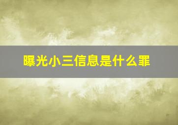 曝光小三信息是什么罪