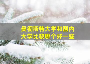 曼彻斯特大学和国内大学比较哪个好一些