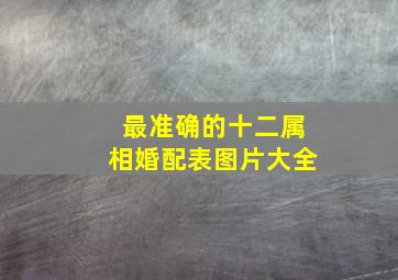 最准确的十二属相婚配表图片大全