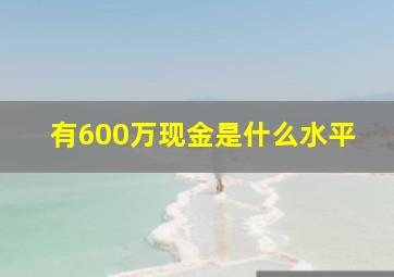 有600万现金是什么水平