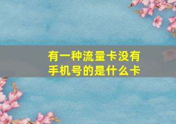 有一种流量卡没有手机号的是什么卡