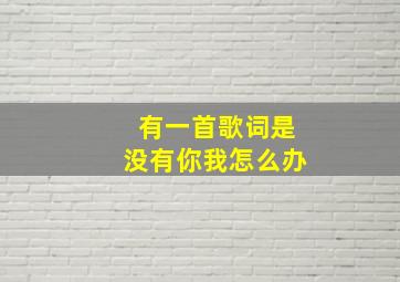 有一首歌词是没有你我怎么办