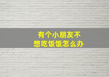 有个小朋友不想吃饭饭怎么办