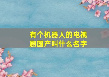 有个机器人的电视剧国产叫什么名字