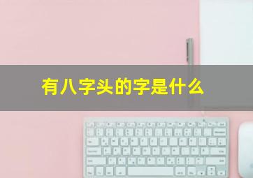 有八字头的字是什么