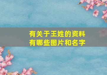 有关于王姓的资料有哪些图片和名字