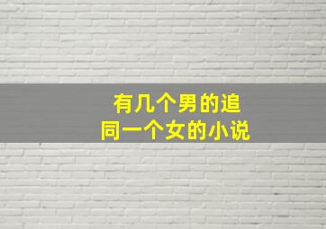 有几个男的追同一个女的小说