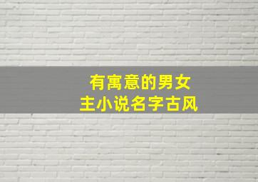 有寓意的男女主小说名字古风