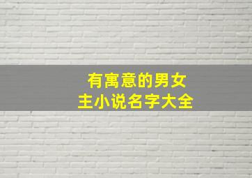 有寓意的男女主小说名字大全