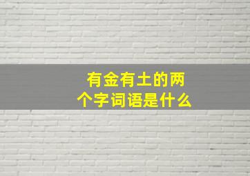 有金有土的两个字词语是什么