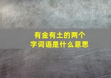 有金有土的两个字词语是什么意思