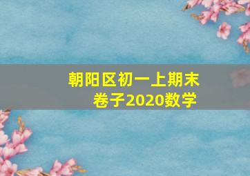 朝阳区初一上期末卷子2020数学