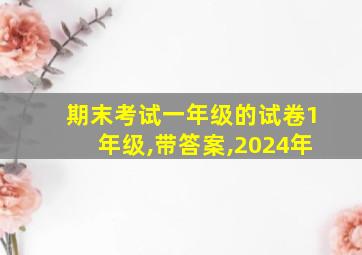 期末考试一年级的试卷1年级,带答案,2024年