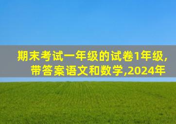 期末考试一年级的试卷1年级,带答案语文和数学,2024年