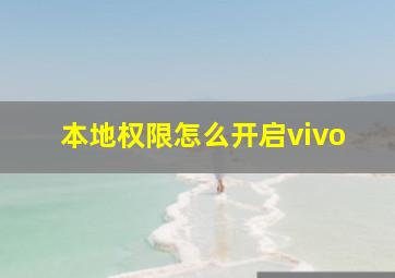 本地权限怎么开启vivo