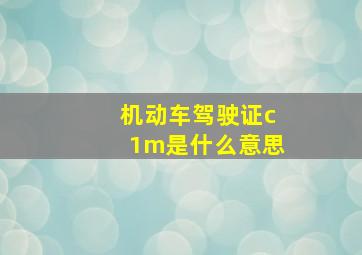 机动车驾驶证c1m是什么意思