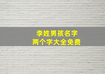 李姓男孩名字两个字大全免费