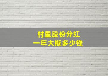 村里股份分红一年大概多少钱