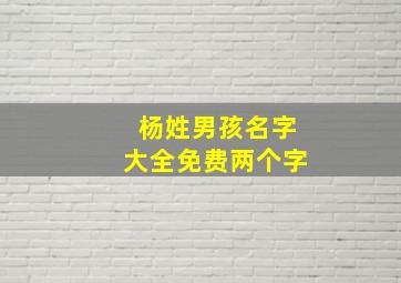 杨姓男孩名字大全免费两个字