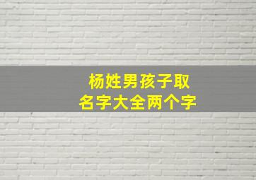 杨姓男孩子取名字大全两个字